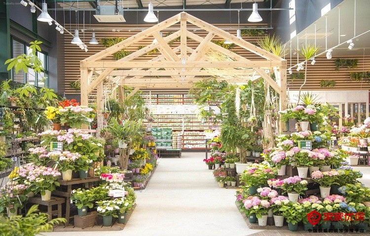 花店装修10大要点
